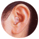 �C���g�����p�C���[�W